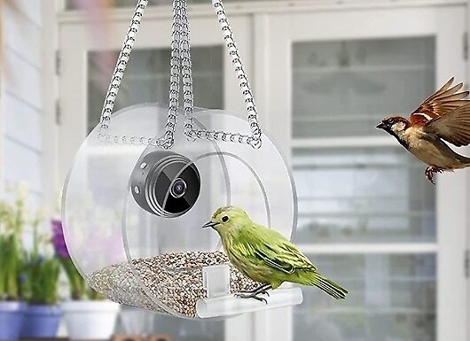 Smart Hanging Bird Feeder - 3 Styles