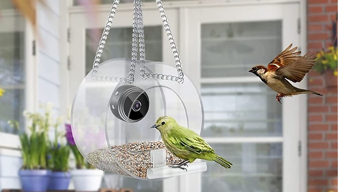 Smart Cam Hanging Bird Feeder - 3 Styles, 2 Options